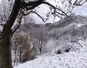 Casa de vacanta, cu lac, 5640 mp teren, Huta, com. Chiuiesti, jud. Cluj