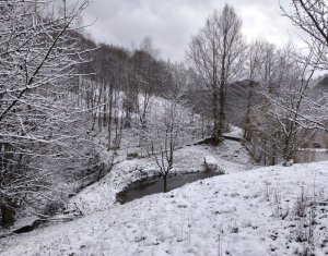 Casa de vacanta, cu lac, 5640 mp teren, Huta, com. Chiuiesti, jud. Cluj