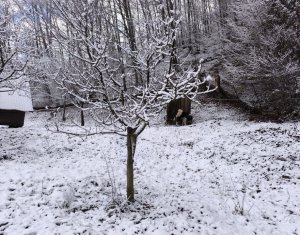 Casa de vacanta, cu lac, 5640 mp teren, Huta, com. Chiuiesti, jud. Cluj
