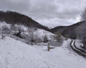 Casa de vacanta, cu lac, 5640 mp teren, Huta, com. Chiuiesti, jud. Cluj