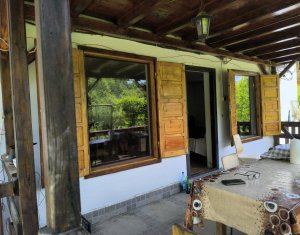 Casa de vacanta, cu lac, 5640 mp teren, Huta, com. Chiuiesti, jud. Cluj