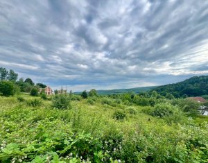 Terrain à vendre dans Feleacu