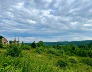 , 900m2 dans Feleacu