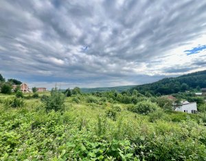 Terrain à vendre dans Feleacu
