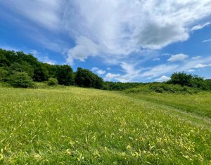 Telek eladó on Savadisla