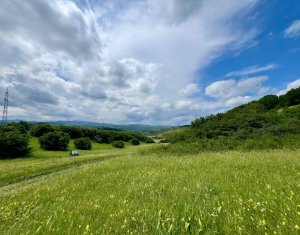 Telek eladó on Savadisla