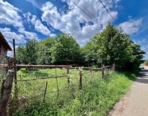Terrain à vendre dans Luna De Sus