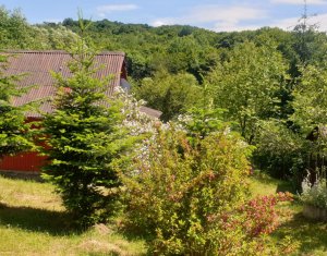 Terrain à vendre dans Feleacu