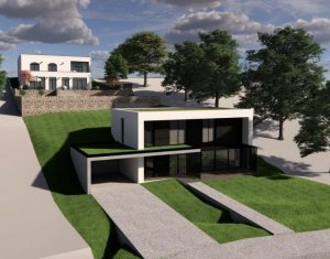 Terrain à vendre dans Feleacu