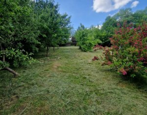Terrain à vendre dans Feleacu