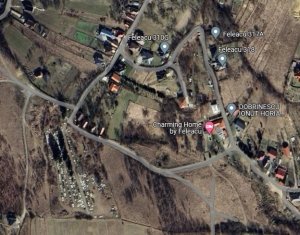 Terrain à vendre dans Feleacu