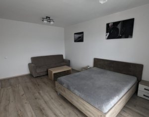 Appartement 1 chambres à louer dans Cluj-napoca, zone Gheorgheni