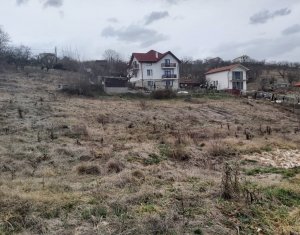 Telek eladó on Cluj-napoca, Zóna Dambul Rotund