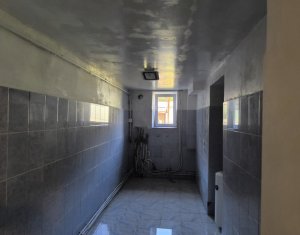 Maison 3 chambres à vendre dans Cluj-napoca, zone Gruia