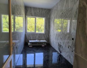 Maison 3 chambres à vendre dans Cluj-napoca, zone Gruia