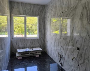 Maison 3 chambres à vendre dans Cluj-napoca, zone Gruia