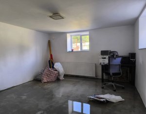 Maison 3 chambres à vendre dans Cluj-napoca, zone Gruia