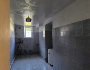 Maison 3 chambres à vendre dans Cluj-napoca, zone Gruia