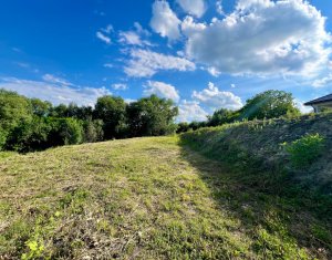 Terrain à vendre dans Aiton