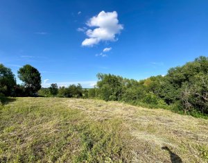 Terrain à vendre dans Aiton