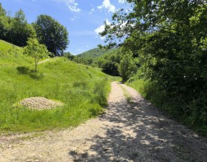 Land for sale in Huta