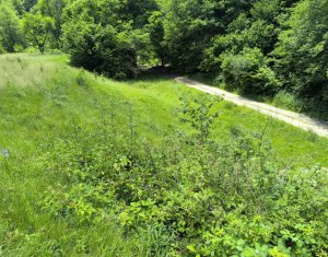 Land for sale in Huta