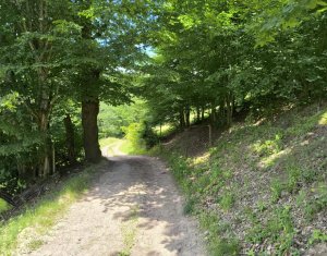 Land for sale in Huta