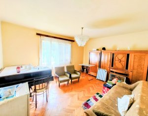 Maison 4 chambres à vendre dans Cluj-napoca, zone Andrei Muresanu