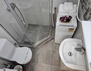 Appartement 1 chambres à louer dans Cluj-napoca, zone Centru