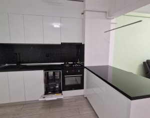 Appartement 2 chambres à louer dans Cluj-napoca, zone Europa