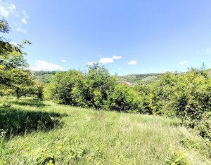 Telek eladó on Suceagu