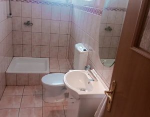 Maison 4 chambres à louer dans Cluj-napoca, zone Someseni