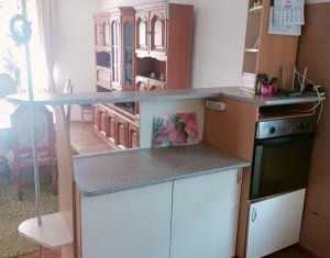 Maison 4 chambres à louer dans Cluj-napoca, zone Someseni