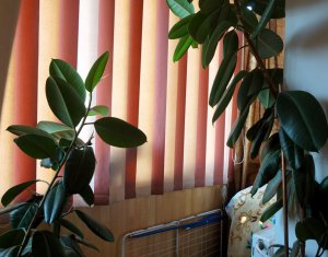 Studio à vendre dans Cluj-napoca, zone Marasti