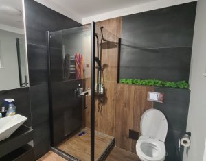 Maison 4 chambres à vendre dans Cluj-napoca, zone Iris