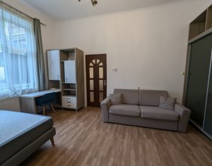 Appartement 1 chambres à louer dans Cluj-napoca, zone Centru