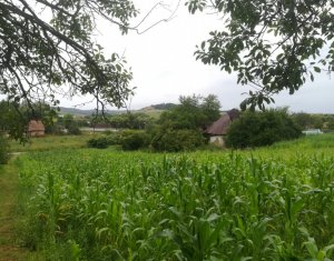 Terrain à vendre dans Panticeu, zone Centru