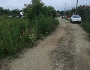 Terrain à vendre dans Panticeu, zone Centru