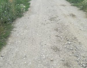 Terrain à vendre dans Panticeu, zone Centru