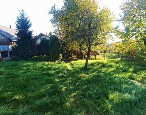 Ház 4 szobák eladó on Cluj-napoca, Zóna Dambul Rotund