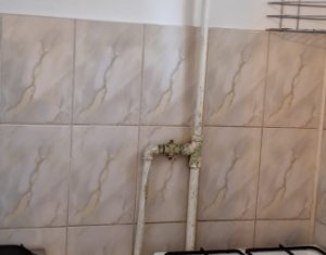 Appartement 2 chambres à louer dans Cluj-napoca, zone Gheorgheni