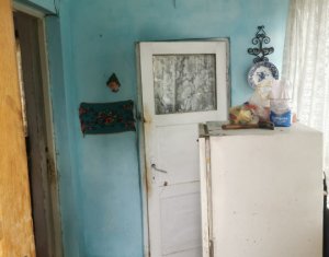 Maison 2 chambres à vendre dans Cluj-napoca, zone Someseni