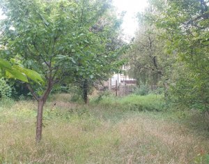 Terrain à vendre dans Cluj-napoca, zone Zorilor