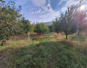 Maisons de vacances à vendre dans Cojocna