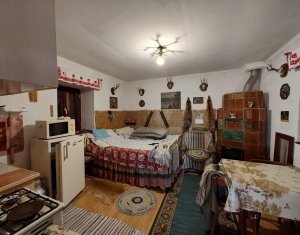 Maisons de vacances à vendre dans Cojocna