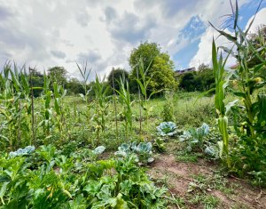 Maison 2 chambres à vendre dans Suceagu