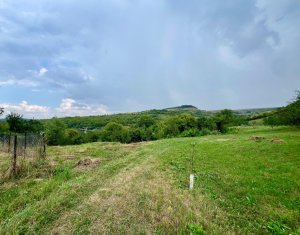 , 1050m2 dans Suceagu