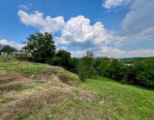 Terrain à vendre dans Suceagu