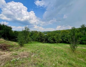 Terrain à vendre dans Suceagu