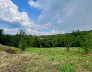 Terrain à vendre dans Suceagu